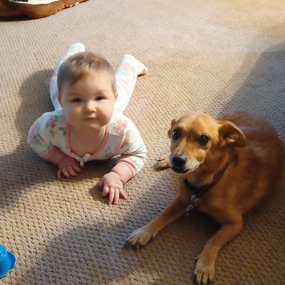 Meet your Posher, Mike - Picture 6 of 10